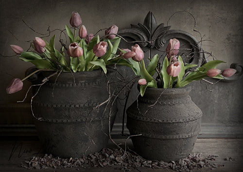 Spatscherm twee potten roze tulpen  in 2 afmetingen